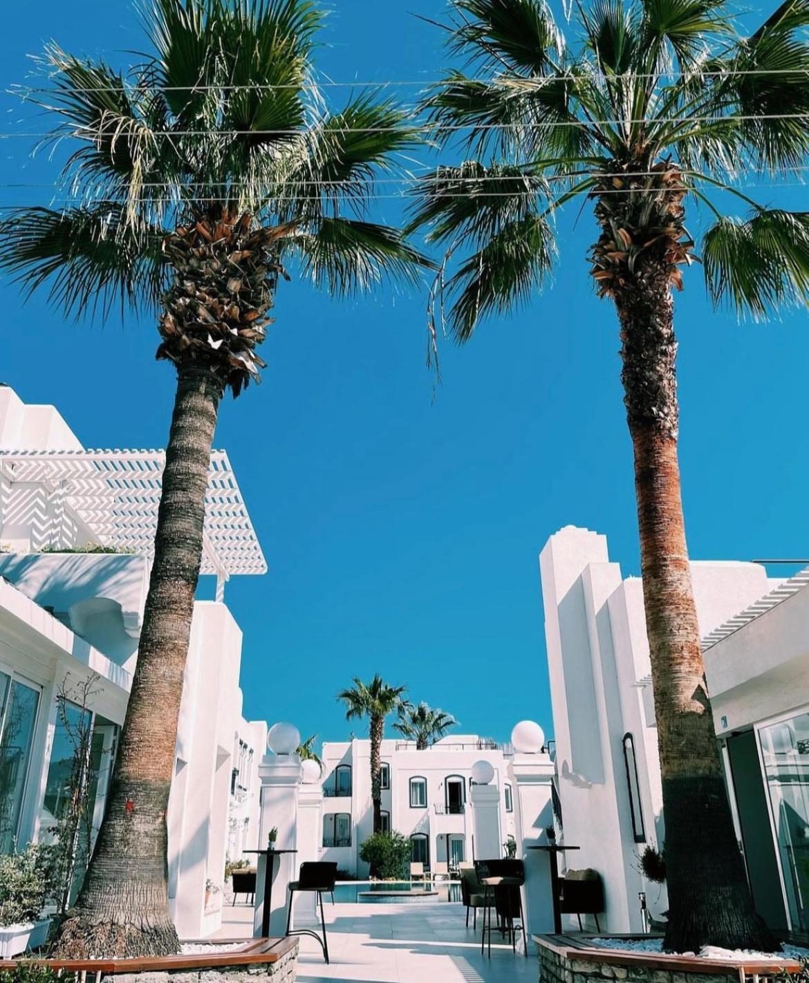 Yalinn Boutique Hotel Yalıkavak Eksteriør billede